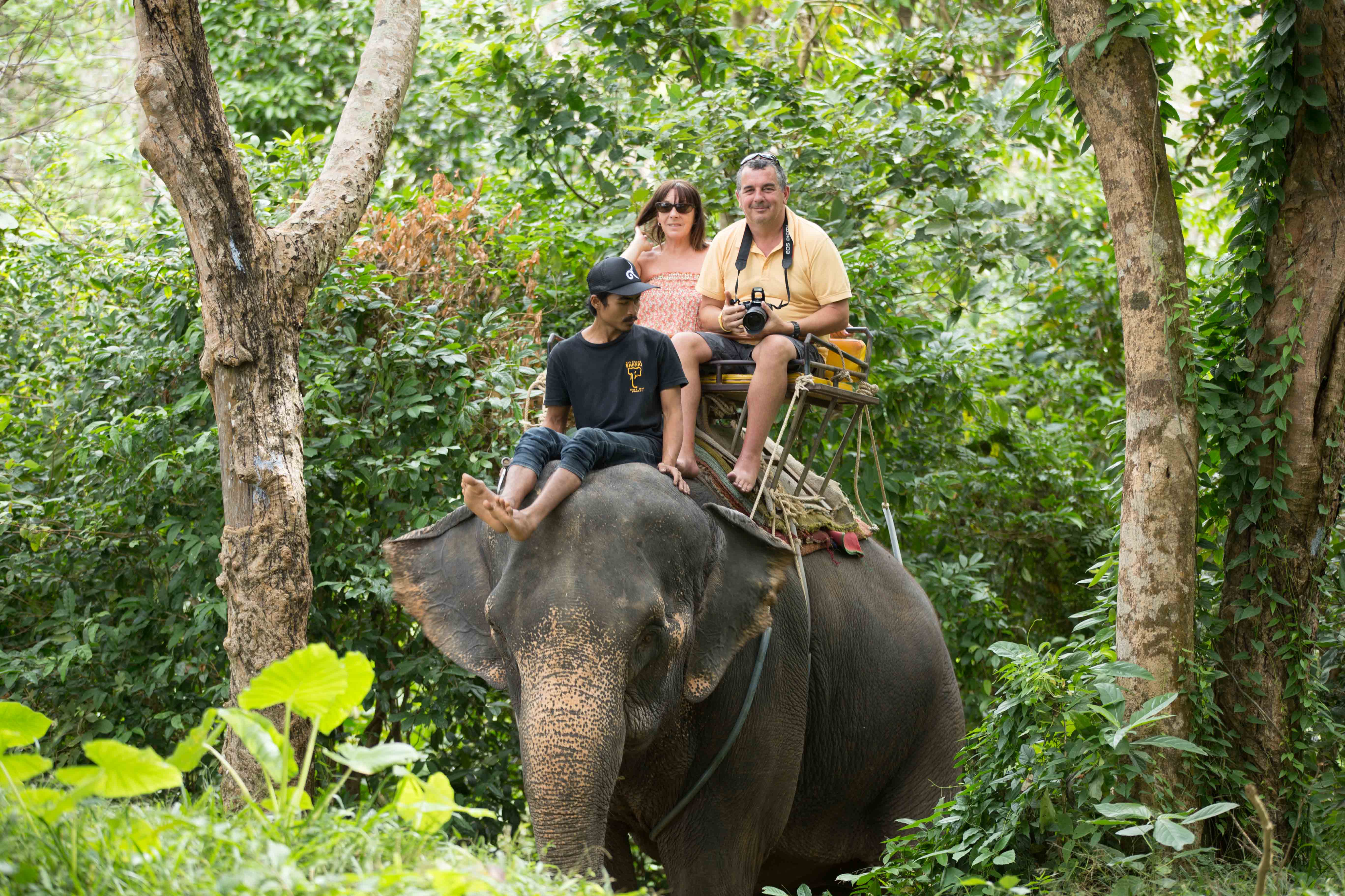 Kok Chang Safari Elephant Trekking, Phuket